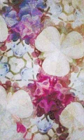 05 Halles Garden 1.2