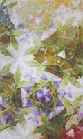 10 Mias Garden