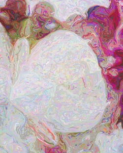 Brianna 3 - Detail 3 - 750x938