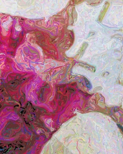 Brianna - Detail 2 - 750x938