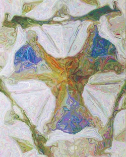 Clara - Detail 1 - 750x938