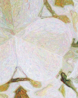 Clara - Detail 3 - 750x938