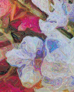 Dianne - Detail 1 - 750x938
