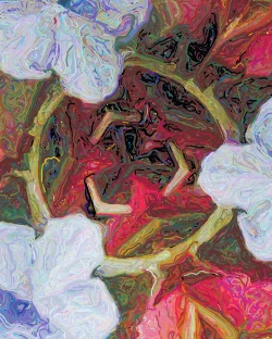 Dianne - Detail 2 - 750x938