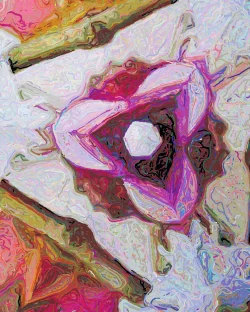 Dianne - Detail 3 - 750x938