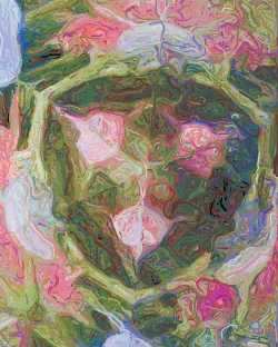 Dicte - Detail 1 - 750x938