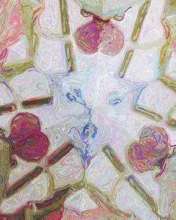 Dicte - Detail 2 - 750x938