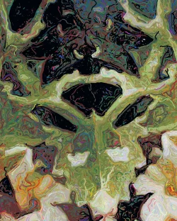 Flavia3 - Detail 2 - 750x938