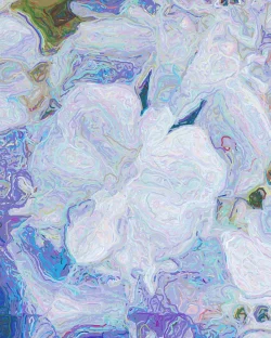 Helenas Garden 2 - Detail 2 - 750x938