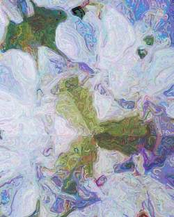 Helenas Garden 2 - Detail 3 - 750x938