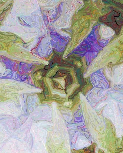 Janine 4 - Detail 1 - 750x938