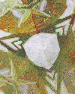 Janine 4 - Detail 2 - 750x938