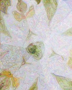 Janine 4 - Detail 3 - 750x938