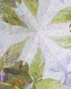 Mia 2 - Detail 3 - 750x938