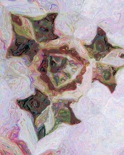 Paola - Detail 1 - 700x875
