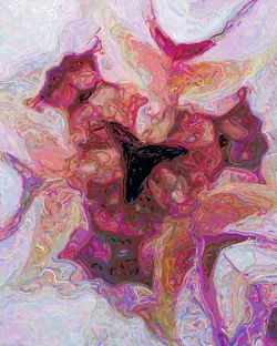 Paola - Detail 2 - 700x875
