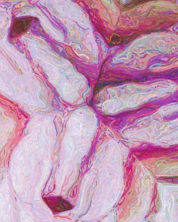 Paola - Detail 3 - 700x875