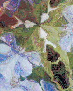 Vivians Garden 2 - Detail 1 - 750x938