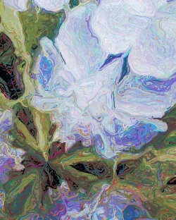 Vivians Garden - Detail 2 - 750x938