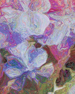 Vivians Garden - Detail 3 - 750x938